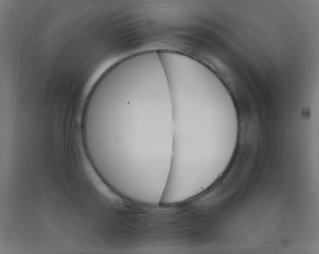 X0000092010796200709271528