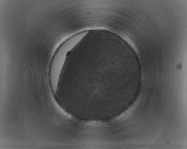 X0000092010797200709271528