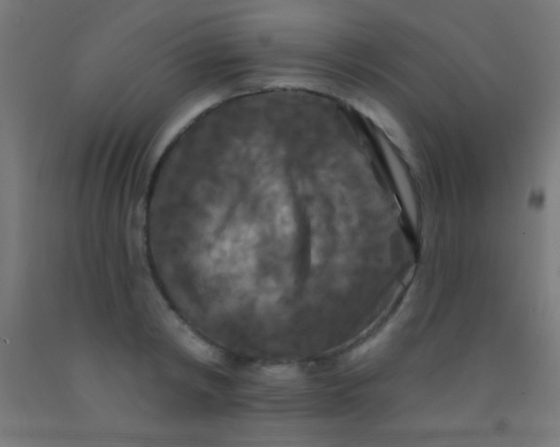 X0000092010798200709271528