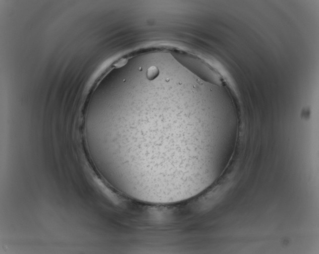 X0000092010799200709271528