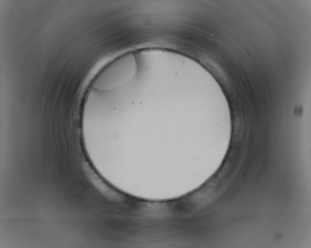 X0000092010800200709271528