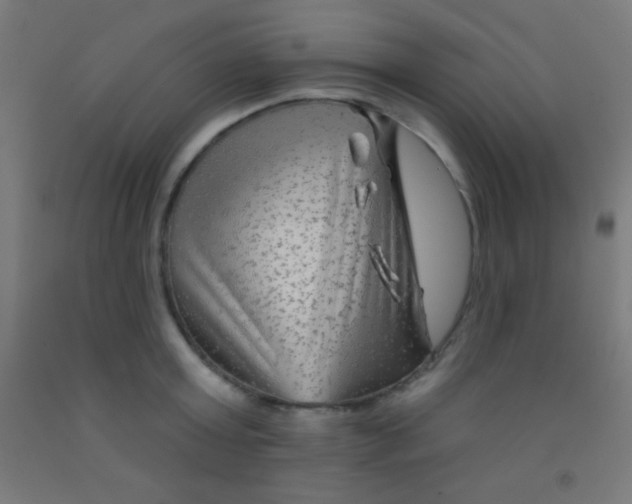 X0000092010803200709271528