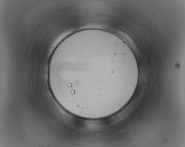 X0000092010804200709271528