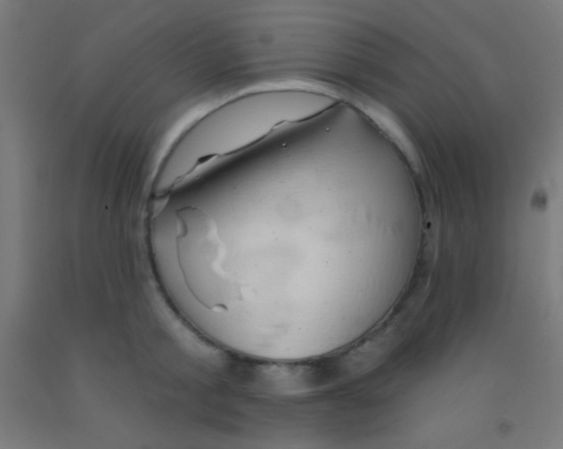 X0000092010805200709271528