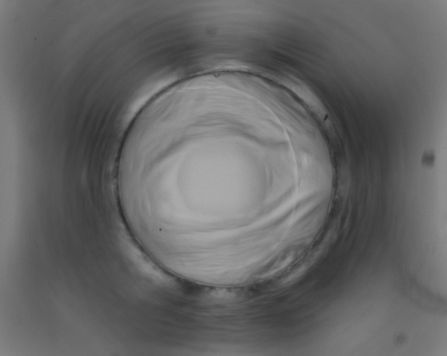 X0000092010806200709271528