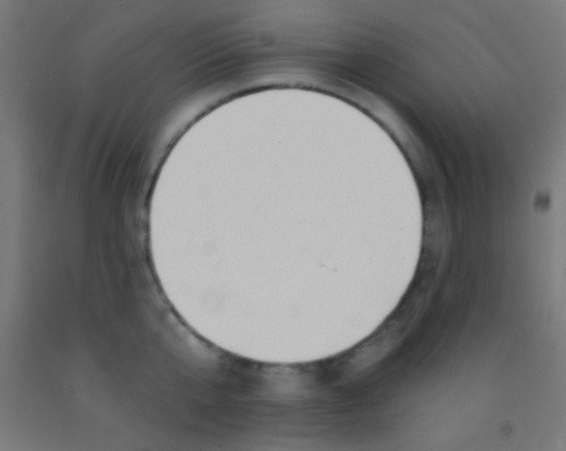 X0000092010807200709271528