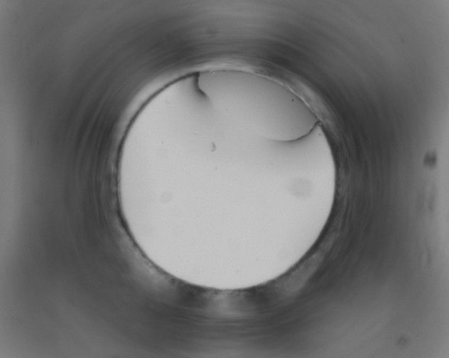 X0000092010808200709271528