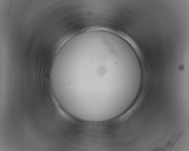 X0000092010809200709271528