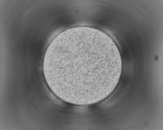 X0000092010810200709271528