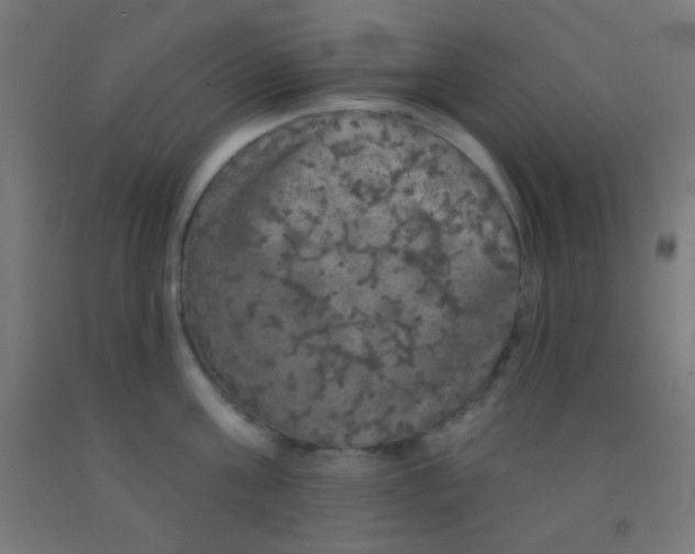 X0000092010811200709271528