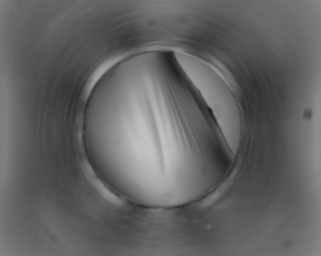 X0000092010812200709271528