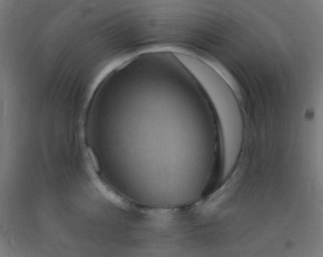 X0000092010813200709271528