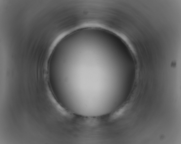 X0000092010815200709271528