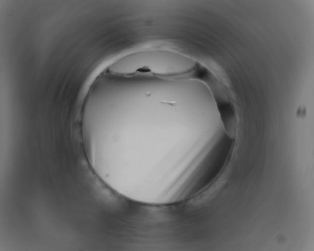 X0000092010816200709271528