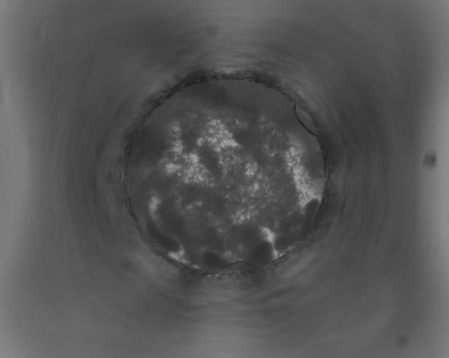 X0000092010817200709271527