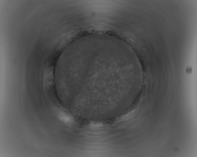 X0000092010818200709271527