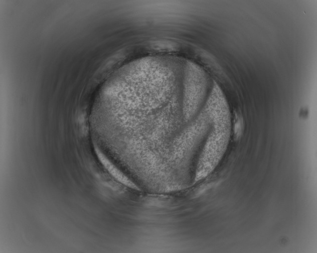 X0000092010819200709271527