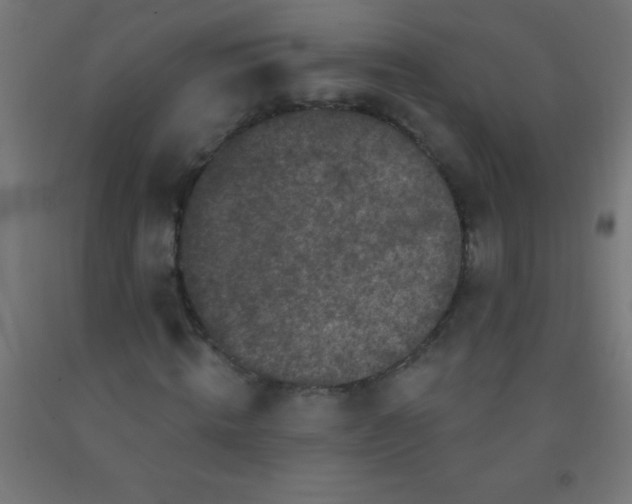 X0000092010820200709271527