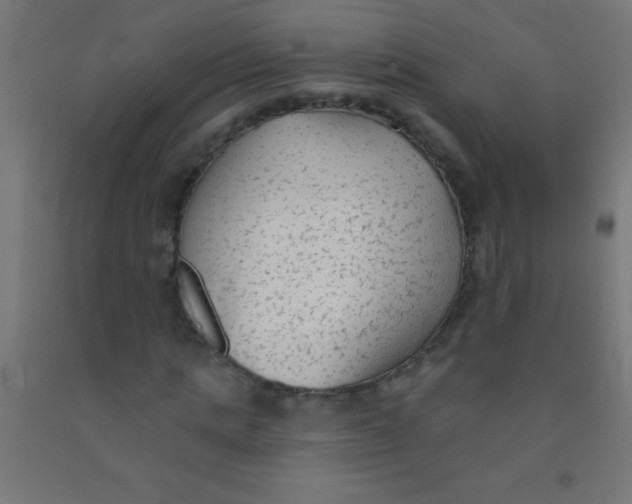 X0000092010821200709271527