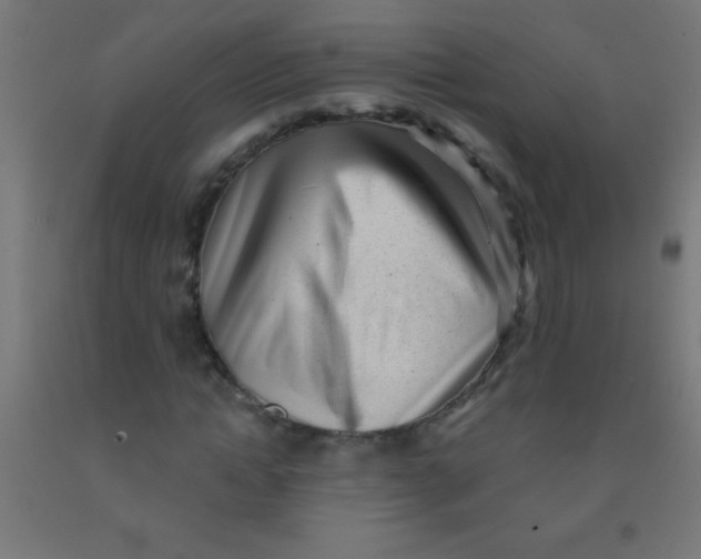 X0000092010822200709271527