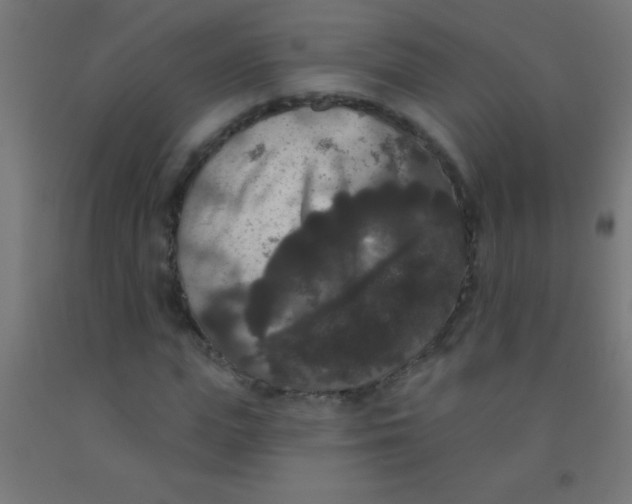 X0000092010823200709271527