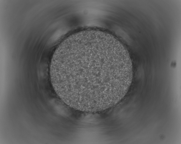 X0000092010824200709271527