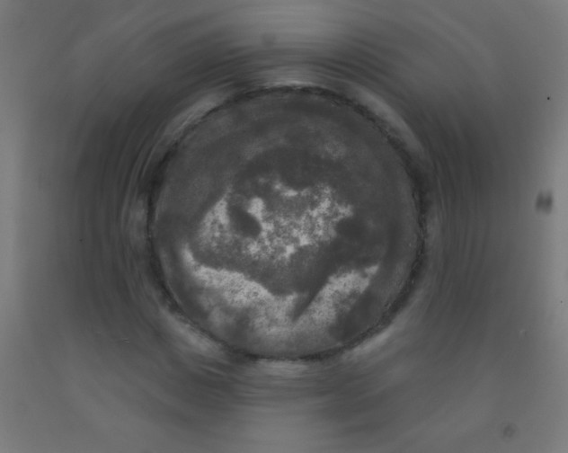 X0000092010825200709271527