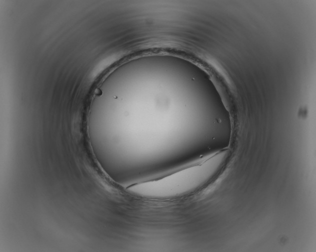 X0000092010826200709271527