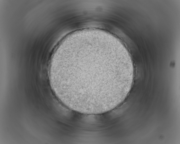 X0000092010828200709271527