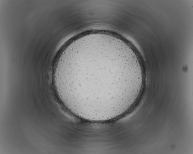 X0000092010829200709271527