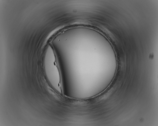 X0000092010830200709271527