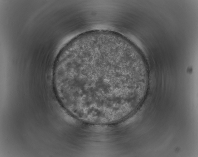 X0000092010831200709271527