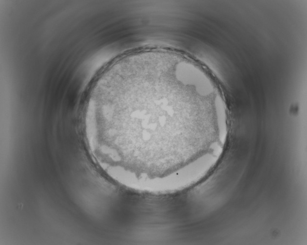 X0000092010832200709271527