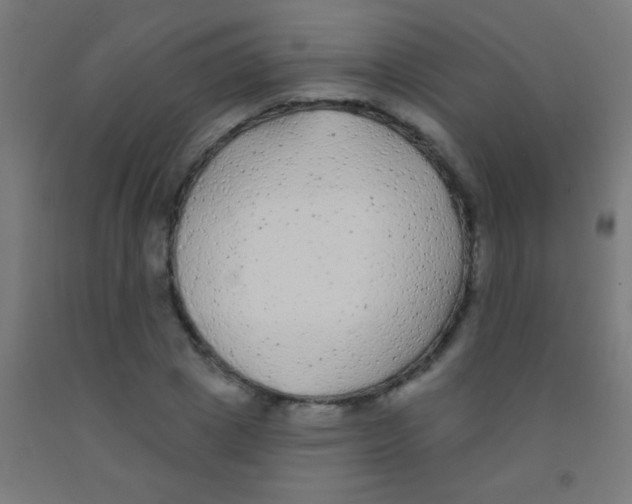 X0000092010833200709271527