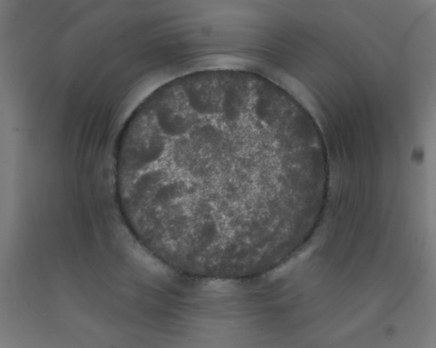 X0000092010835200709271527