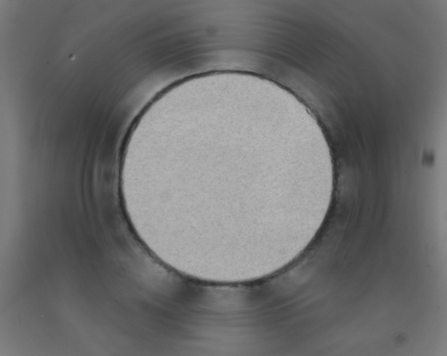 X0000092010836200709271527