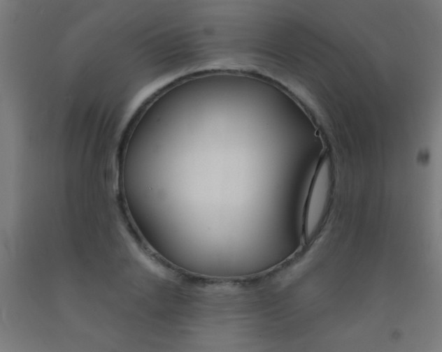 X0000092010838200709271527