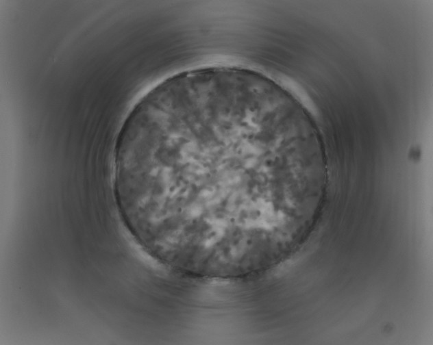 X0000092010839200709271527