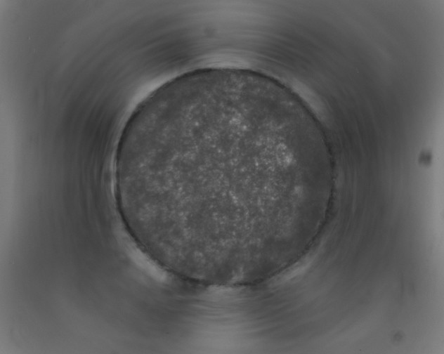 X0000092010840200709271527