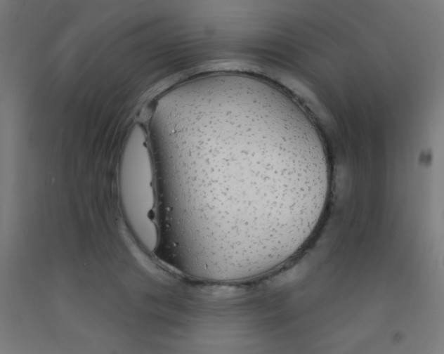 X0000092010841200709271527