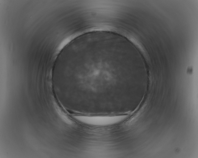 X0000092010842200709271527