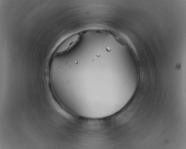 X0000092010843200709271527