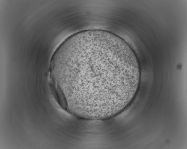 X0000092010844200709271527