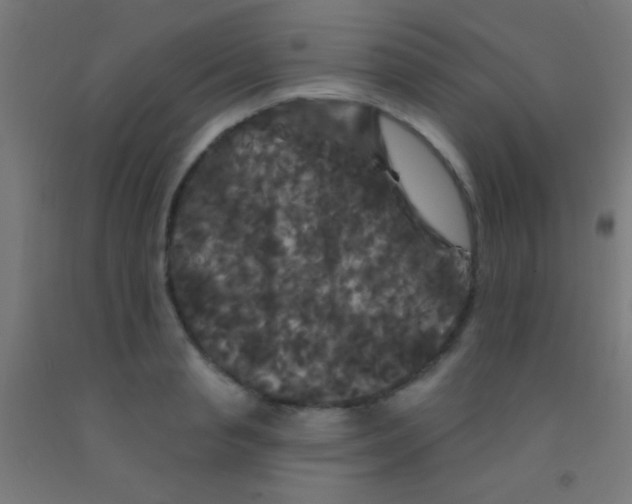 X0000092010845200709271527