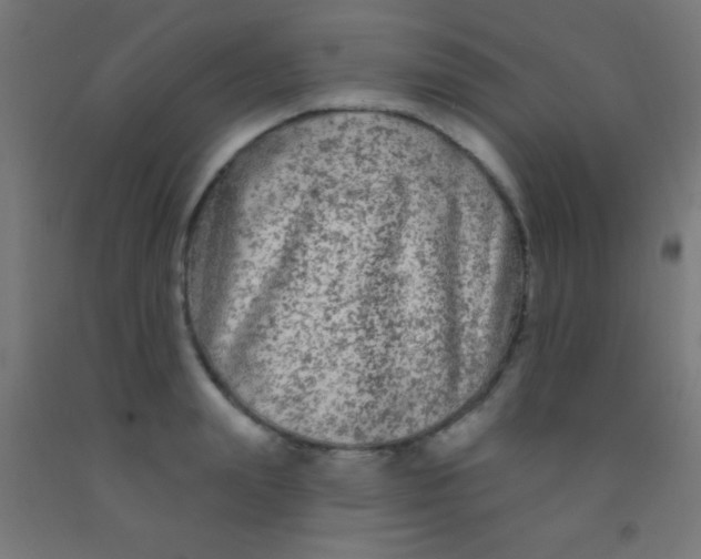 X0000092010847200709271527