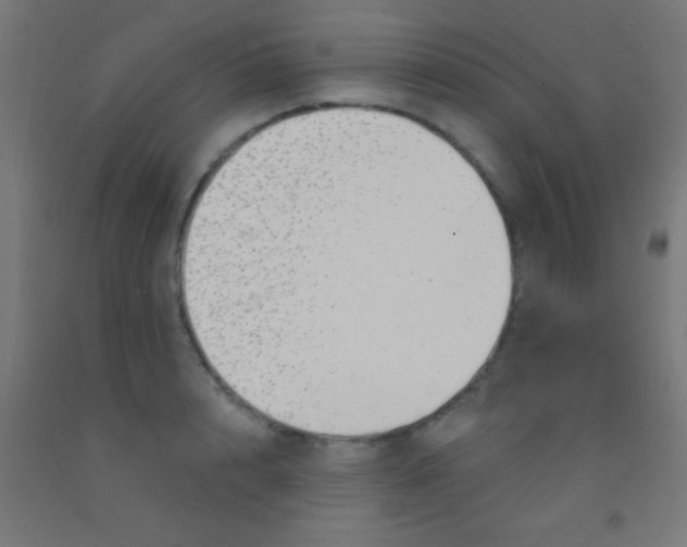 X0000092010848200709271528