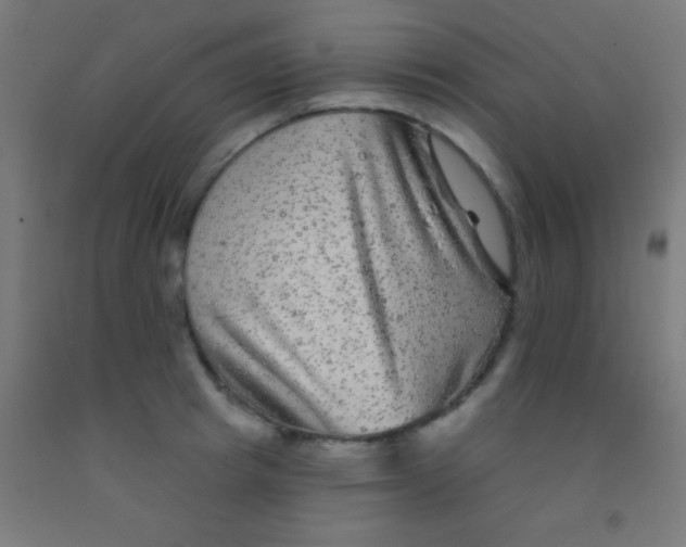 X0000092010849200709271528