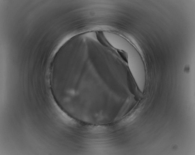 X0000092010851200709271528