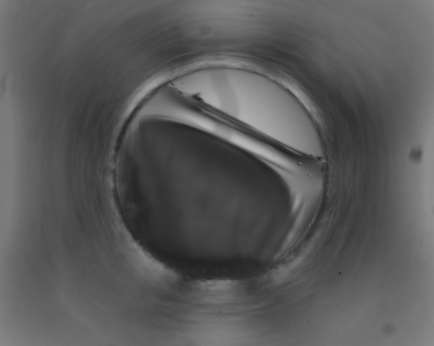 X0000092010853200709271528