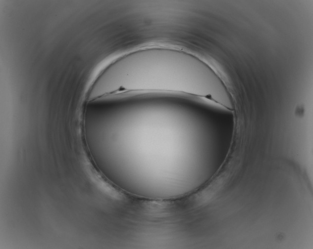 X0000092010854200709271528